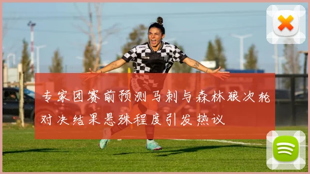 专家团赛前预测马刺与森林狼次轮对决结果悬殊程度引发热议